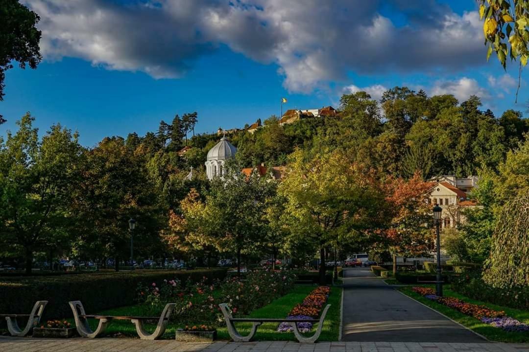 Abc Studio Brașov